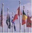 Flags